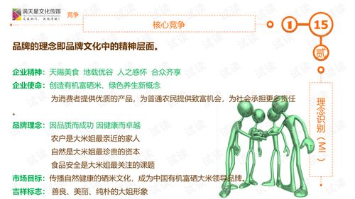 大米姐品牌營銷策劃案商業(yè)計劃書