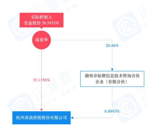 高浪與聯(lián)合利華強(qiáng)強(qiáng)聯(lián)手 合資公司gouni引領(lǐng)市場營銷新篇章